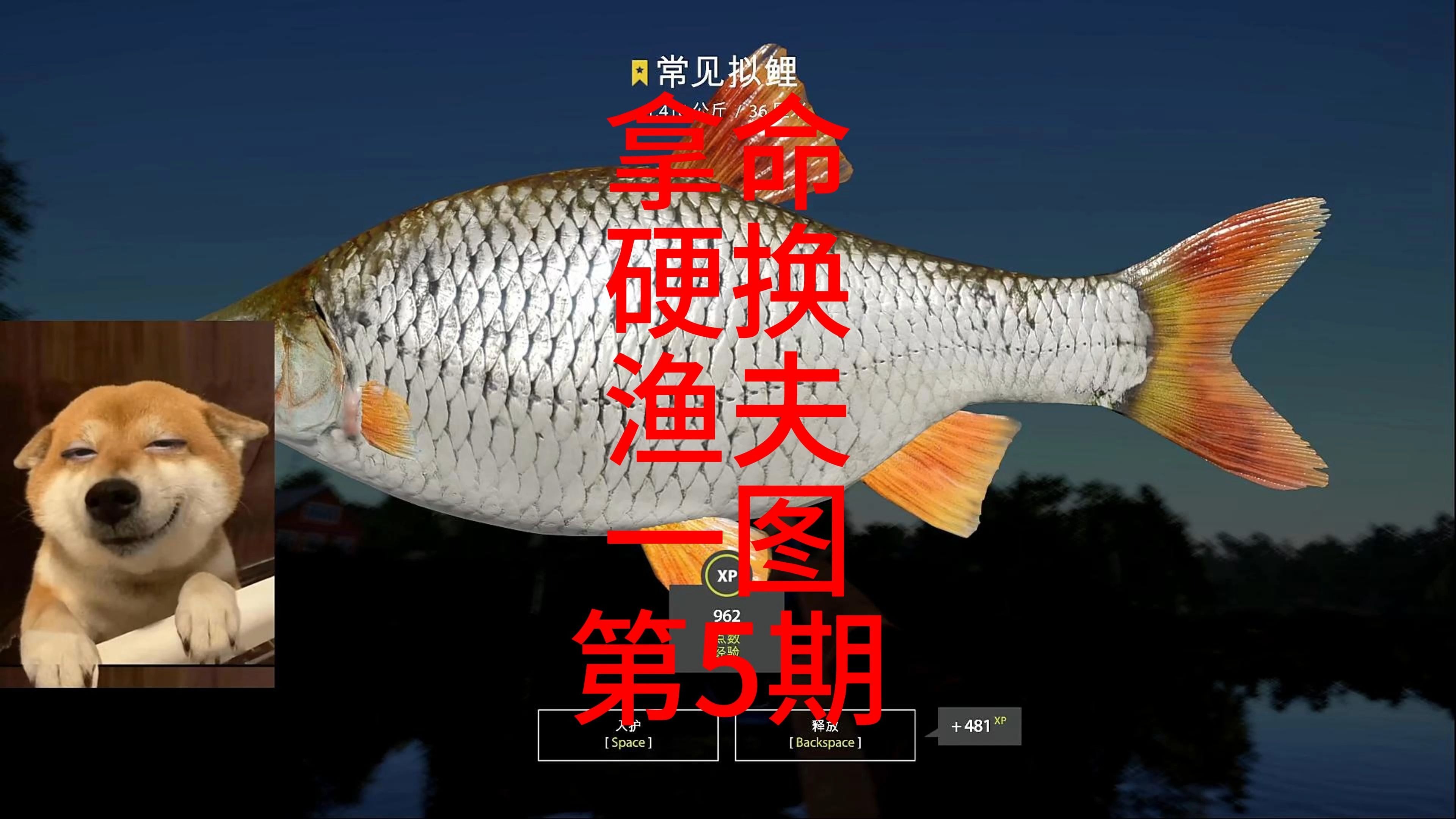 详细阅读:命硬(命硬的人) 命硬(命硬的人)